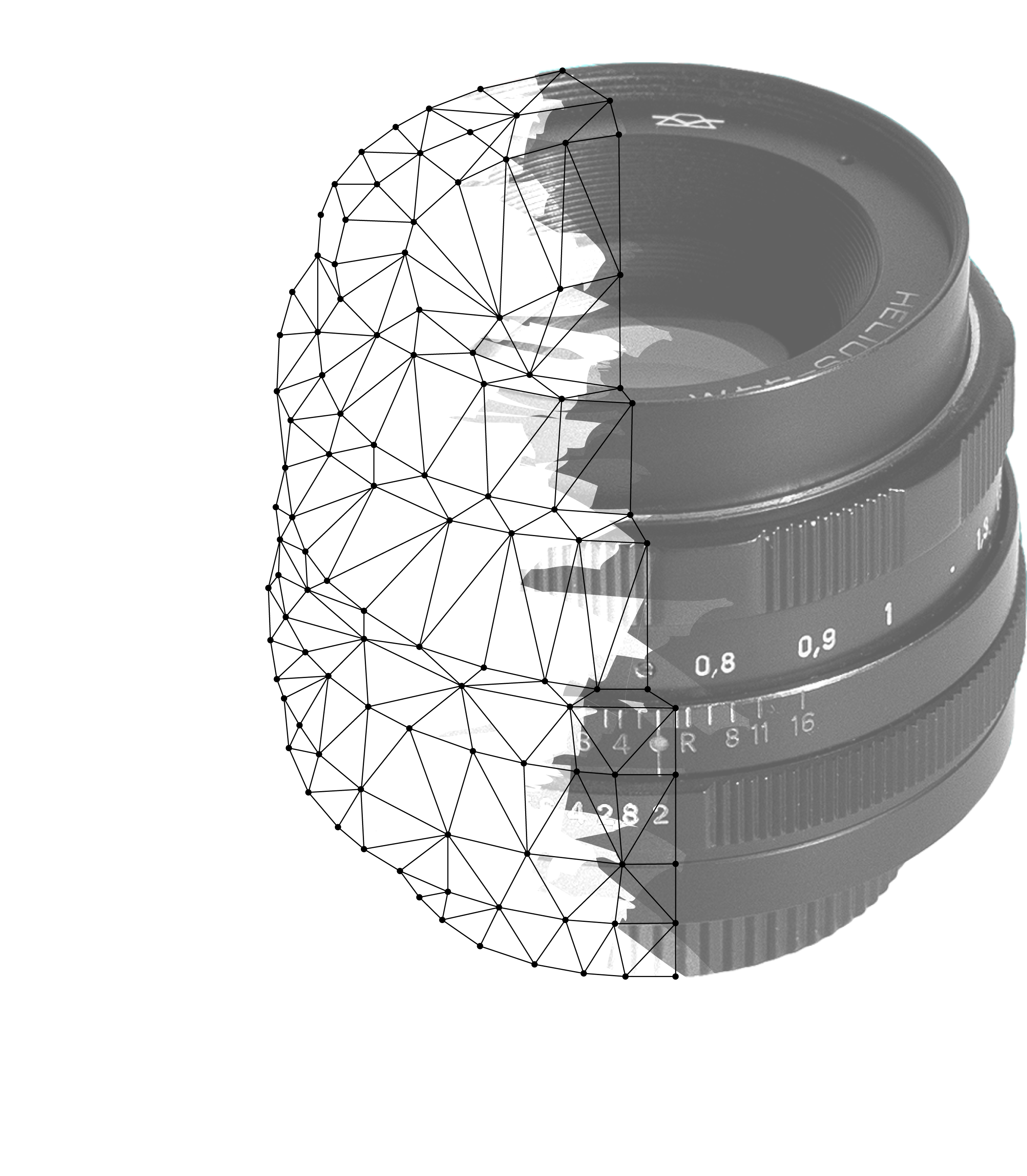 Scroll Bar TERMINAL BURROWER FILMS